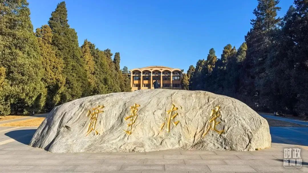 年轻干部怎样健康成长,习近平提出这份“行动指南”