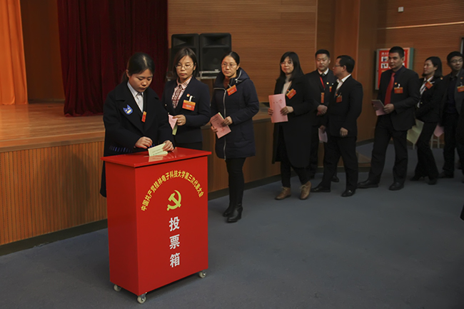 说明:投票.jpg